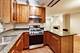 1355 W Fillmore Unit B, Chicago, IL 60607