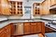 1355 W Fillmore Unit B, Chicago, IL 60607
