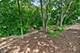 0S775 Madison, Winfield, IL 60190