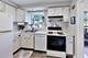 6028 N Whipple, Chicago, IL 60659