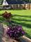 1662 Kimberly, Elgin, IL 60123