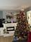 1662 Kimberly, Elgin, IL 60123