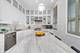 2614 N Hermitage, Chicago, IL 60614