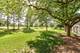 287 Willow, Buffalo Grove, IL 60089