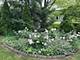 5845 Lenox, Lisle, IL 60532