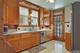 7846 Kenneth, Skokie, IL 60076