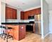 1075 W Roosevelt Unit 305, Chicago, IL 60608
