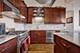 1033 W 14th Unit 318, Chicago, IL 60608