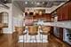 1033 W 14th Unit 318, Chicago, IL 60608
