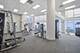 100 E 14th Unit 1209, Chicago, IL 60605