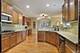 462 E Amberside, Elgin, IL 60124