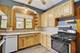 17 Park Unit 2, River Forest, IL 60305