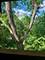 5811 Oakwood Unit F, Lisle, IL 60532