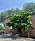 5811 Oakwood Unit F, Lisle, IL 60532