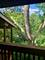 5811 Oakwood Unit F, Lisle, IL 60532