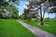 396 Littleton, Elgin, IL 60120