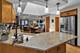 17543 Dolorosa, Orland Park, IL 60467