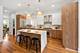 3414 N Hamilton, Chicago, IL 60618