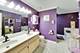 24851 Michele, Plainfield, IL 60544