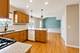 24851 Michele, Plainfield, IL 60544