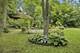 45 N Aldine, Elgin, IL 60123