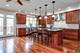1725 N Troy, Chicago, IL 60647