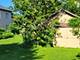 260 S Aldine, Elgin, IL 60123