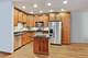 917 W Lakeside Unit 1W, Chicago, IL 60640
