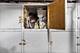 4700 N Kenmore Unit 2C, Chicago, IL 60640