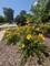 485 Conservatory Unit 485, Aurora, IL 60502