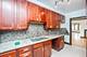 11127 S Homewood, Chicago, IL 60643