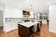 1123 Ashland, River Forest, IL 60305