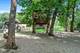431 Maplewood, Barrington, IL 60010