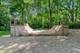 431 Maplewood, Barrington, IL 60010