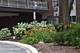 1301 S Finley Unit 222, Lombard, IL 60148