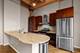 1040 W Adams Unit 420, Chicago, IL 60607