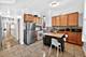 3248 W Douglas, Chicago, IL 60623