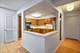 5360 N Lowell Unit 311, Chicago, IL 60630