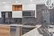 300 N State Unit 3405, Chicago, IL 60654