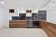 300 N State Unit 3405, Chicago, IL 60654