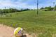 6004 E Lake Unit 1F, Lisle, IL 60532