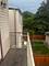 3423 W Schubert Unit 2, Chicago, IL 60647