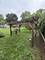 47 W Algonquin, Des Plaines, IL 60016