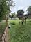 47 W Algonquin, Des Plaines, IL 60016
