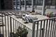 5100 N Marine Unit 8E, Chicago, IL 60640