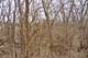 5303 Sandpiper Unit 0, Loves Park, IL 61111
