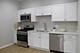 2146 W 21 Unit 1, Chicago, IL 60608