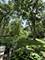 2841 Orange Brace, Riverwoods, IL 60015