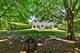 3880 Peartree, Lake In The Hills, IL 60156