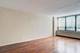 222 E Pearson Unit 2406, Chicago, IL 60611